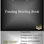 Juvenile Justice Funding in Michigan:  Funding Briefing Book